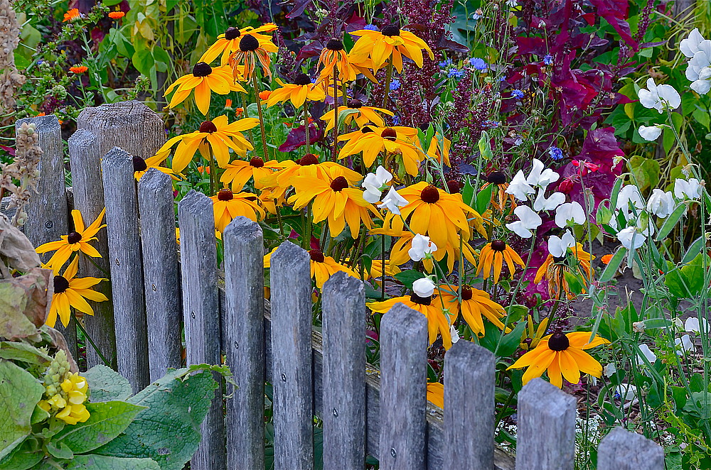 Schöner Bauerngarten