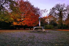 @schöner Baum hinter dem schönen Brunnen