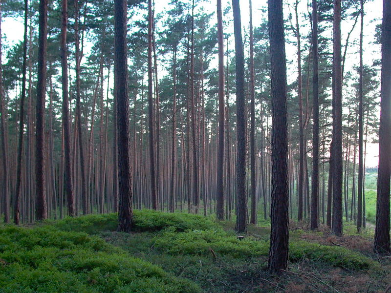 Schöner Blick