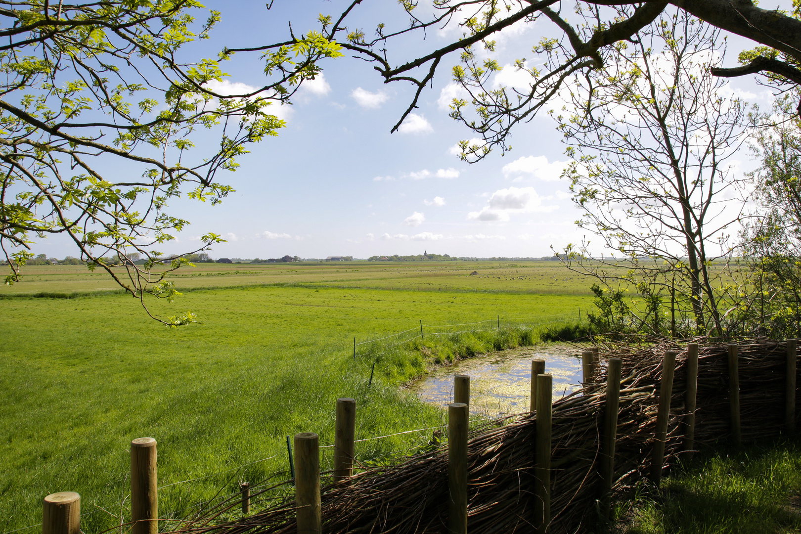 Schöner Blick