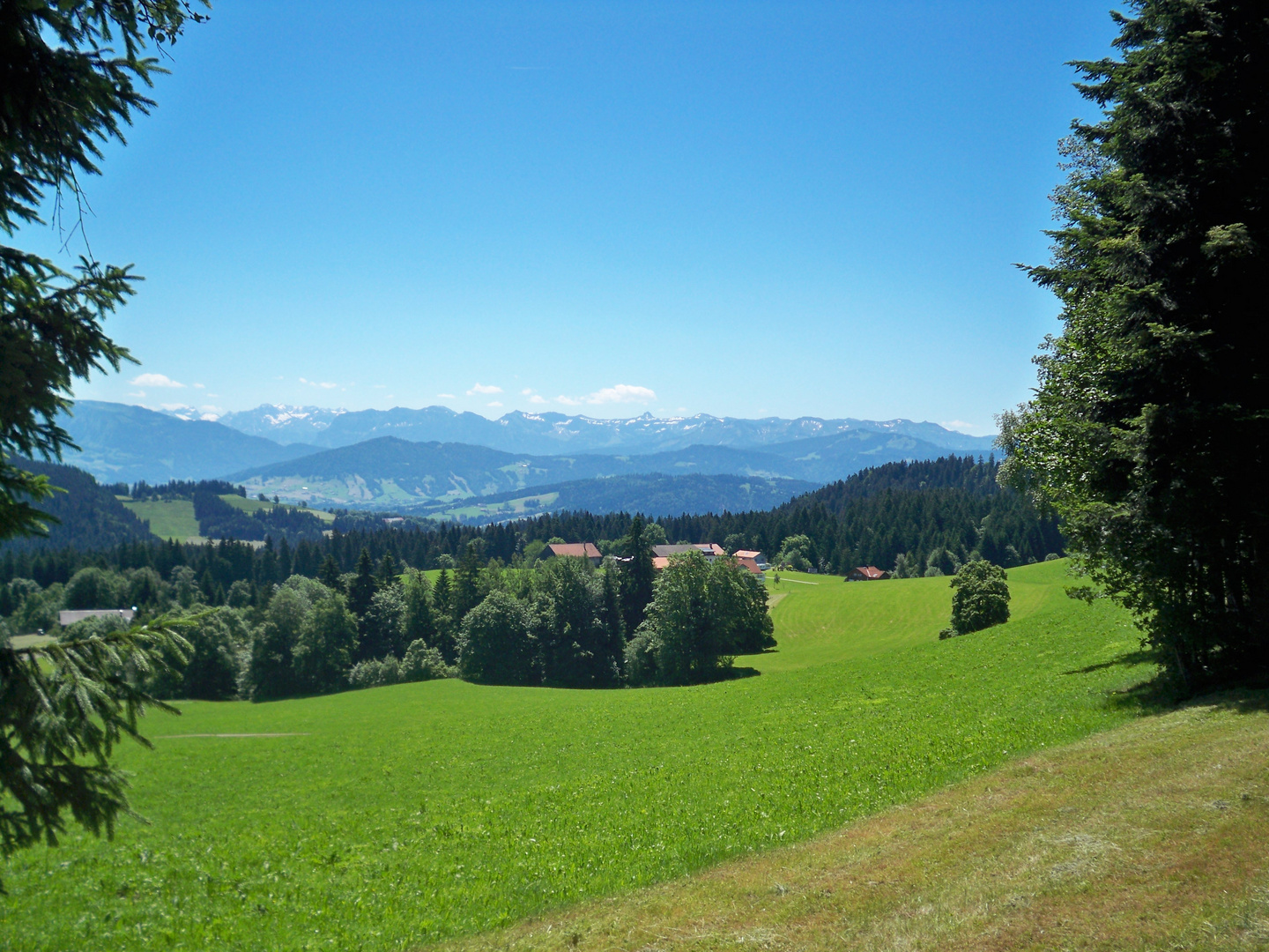 Schöner Blick