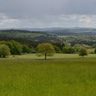 Schöner Blick über unsere Eifel mit drei ehemaligen Vulkanen.