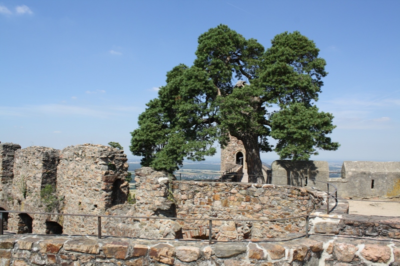 schöner blick vom auerbacher schloß