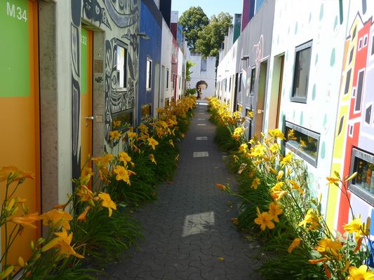 Schöner Blütenweg....