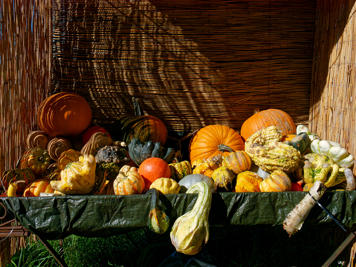 schöner bunter Herbst...