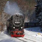 Schöner Dampfzug Winter in Eisfelder Talmühle 1.