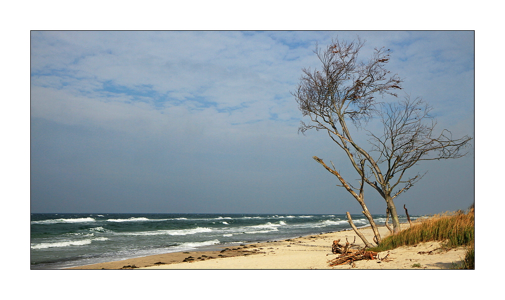 Schöner Darßer Weststrand 2