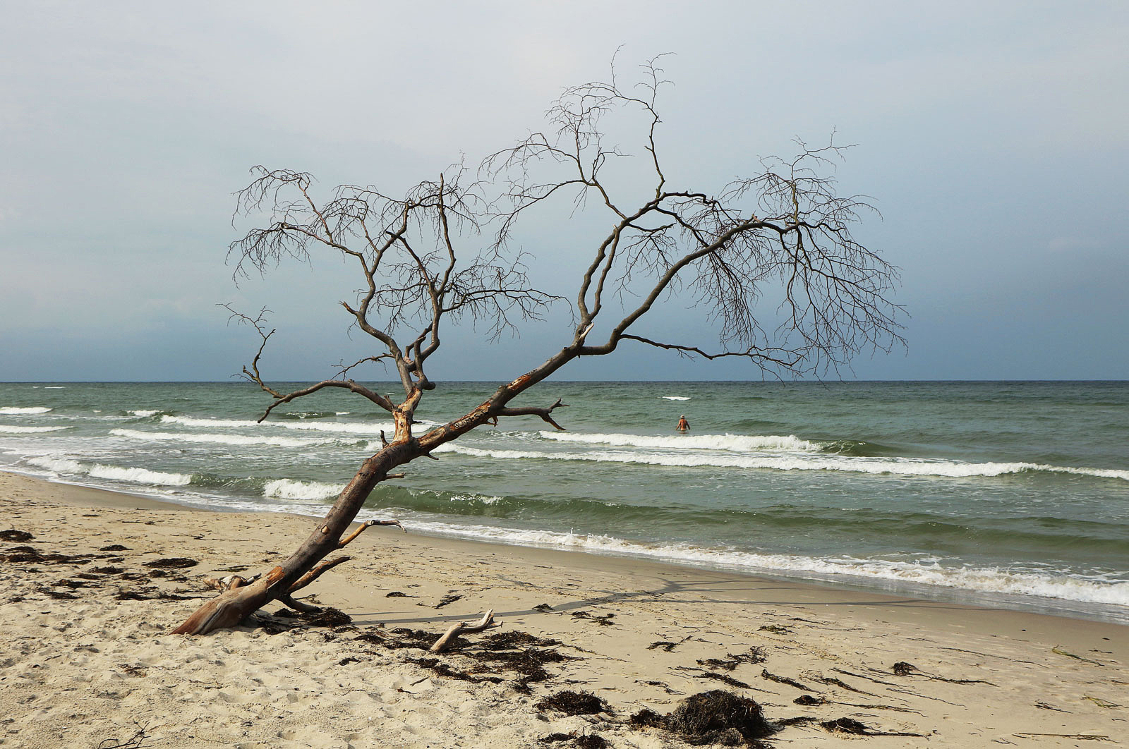 Schöner Darßer Weststrand