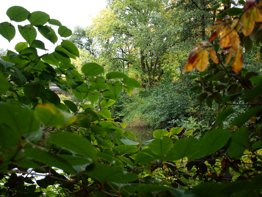 Schöner Durchblick