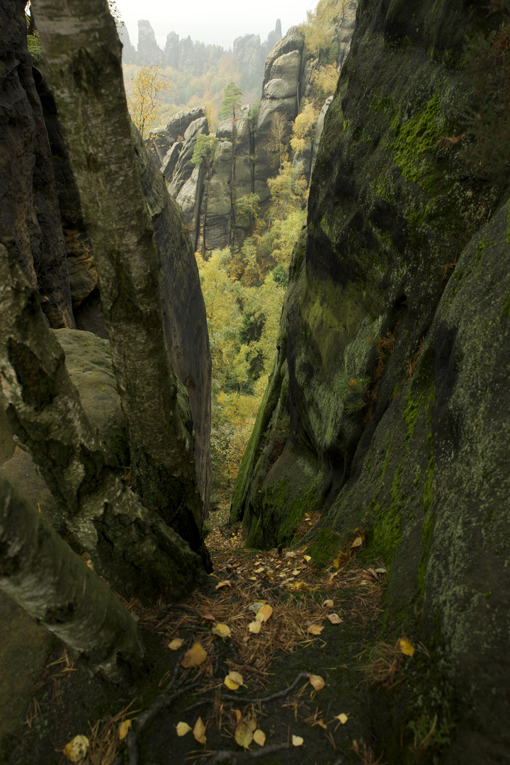 Schöner Durchblick