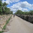 Schöner Fahrradweg irgendwo auf der Insel