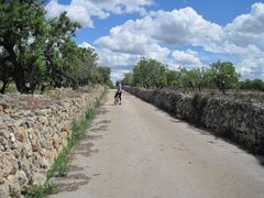 Schöner Fahrradweg irgendwo auf der Insel