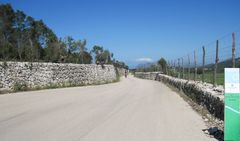 schöner Fahrradweg nach Pollenca