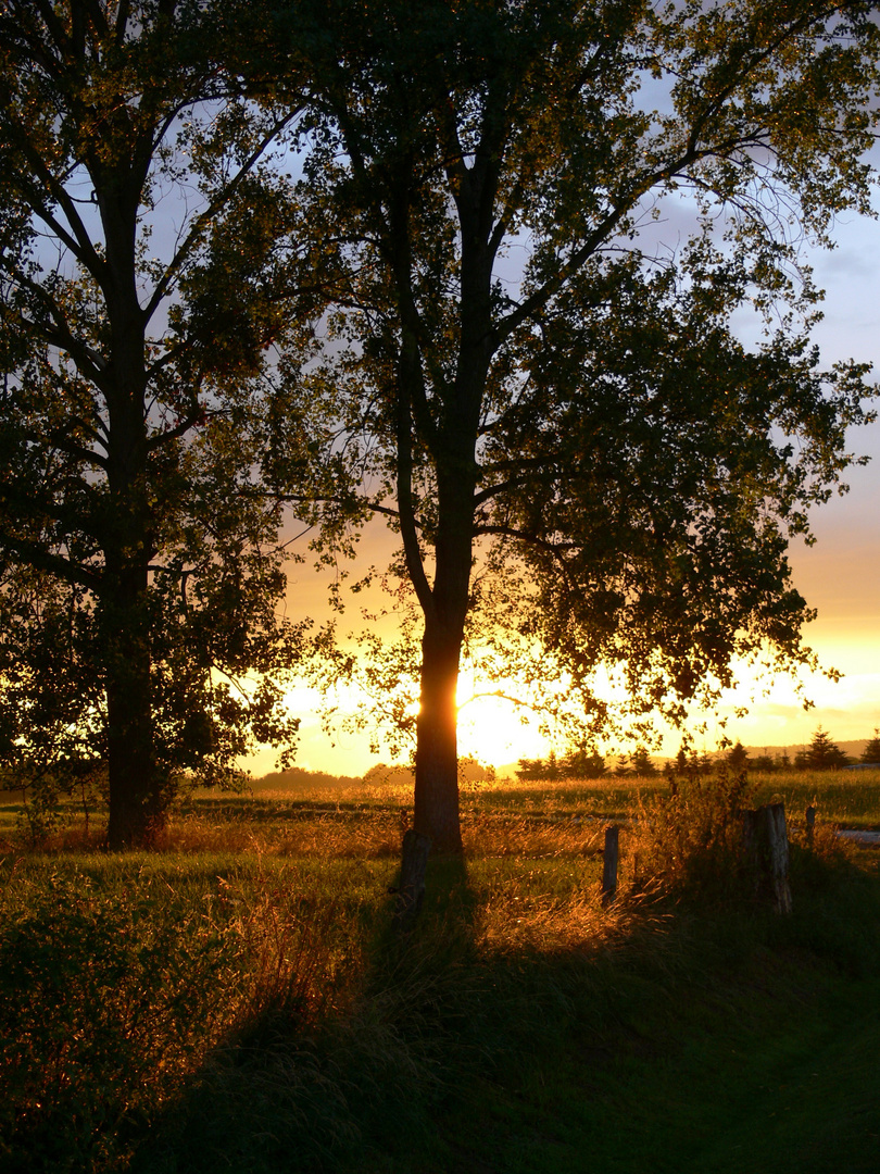 Schöner Farbverlauf bei Sonnenuntergang