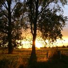 Schöner Farbverlauf bei Sonnenuntergang