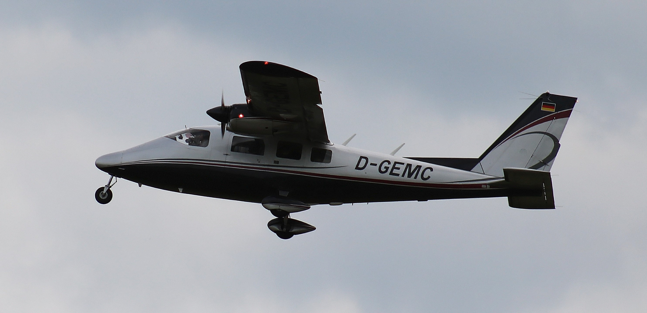 Schöner Flieger am Boden und in der Luft