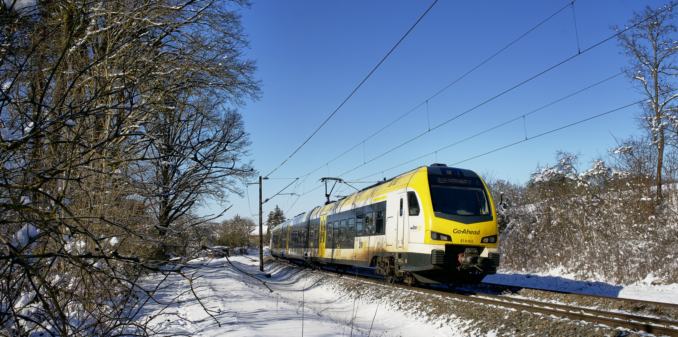 Schöner Flirt im herrlichsten Morgenlicht