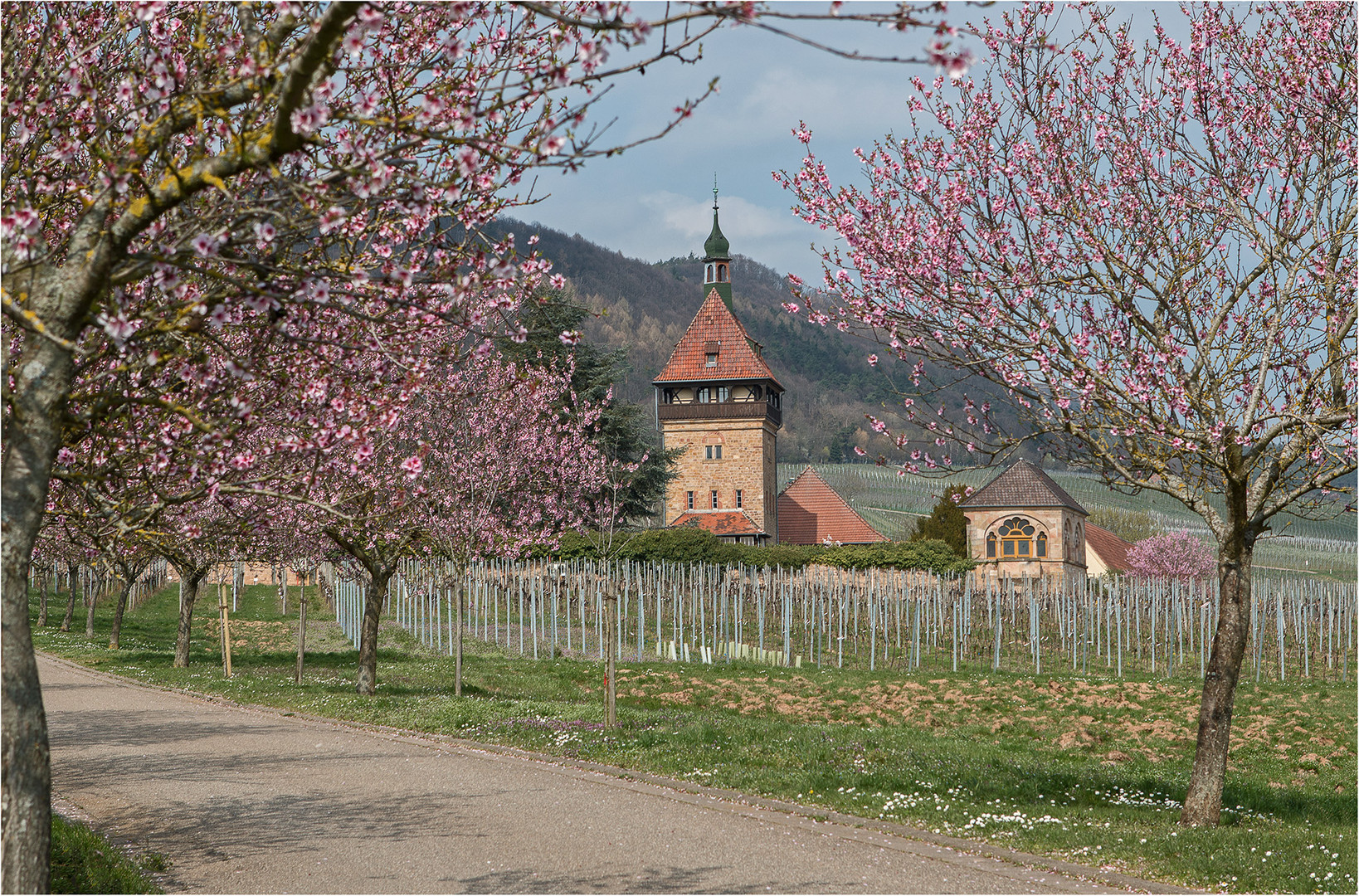 Schöner forschen