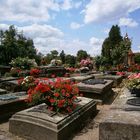 schöner Friedhof