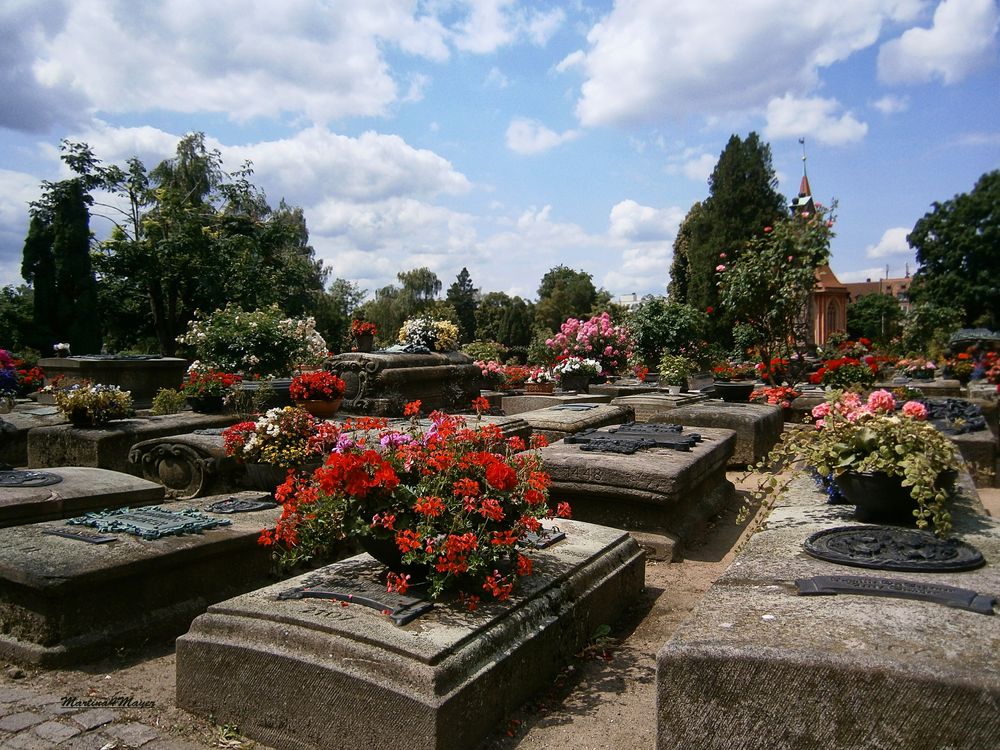 schöner Friedhof