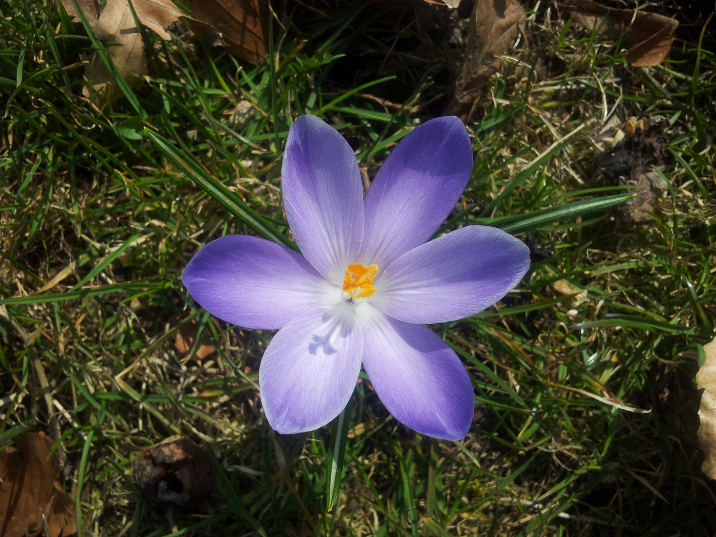 schöner Frühling