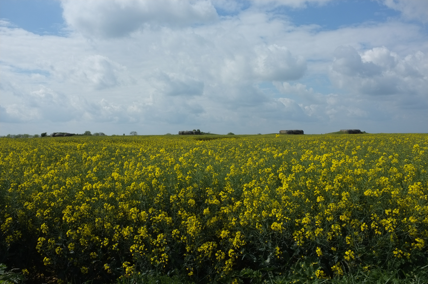 Schöner Frühling