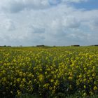 Schöner Frühling