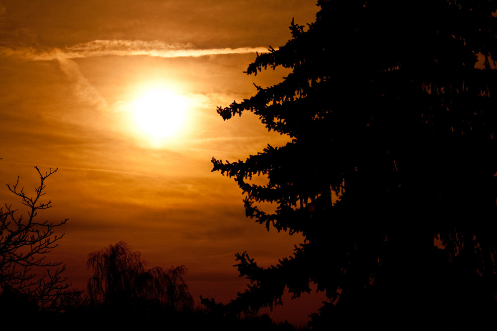 schöner frühlingshafter sonnenuntergang