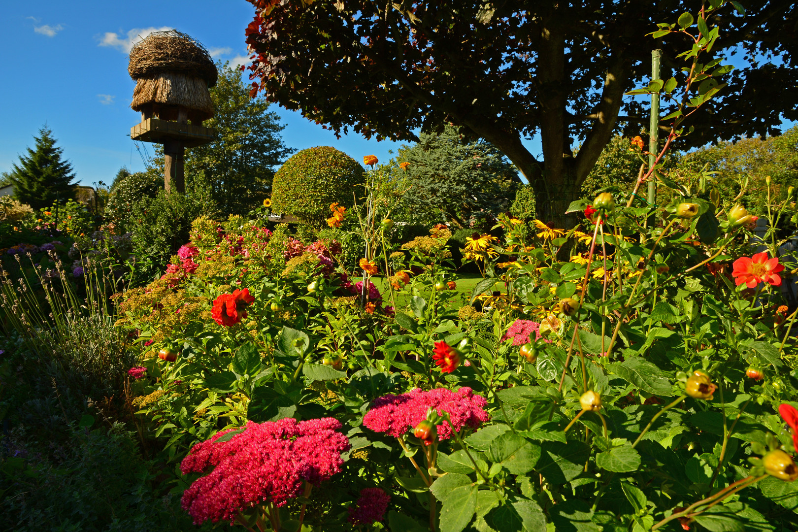 schöner Garten Foto & Bild | landschaft, föhr, garten ...