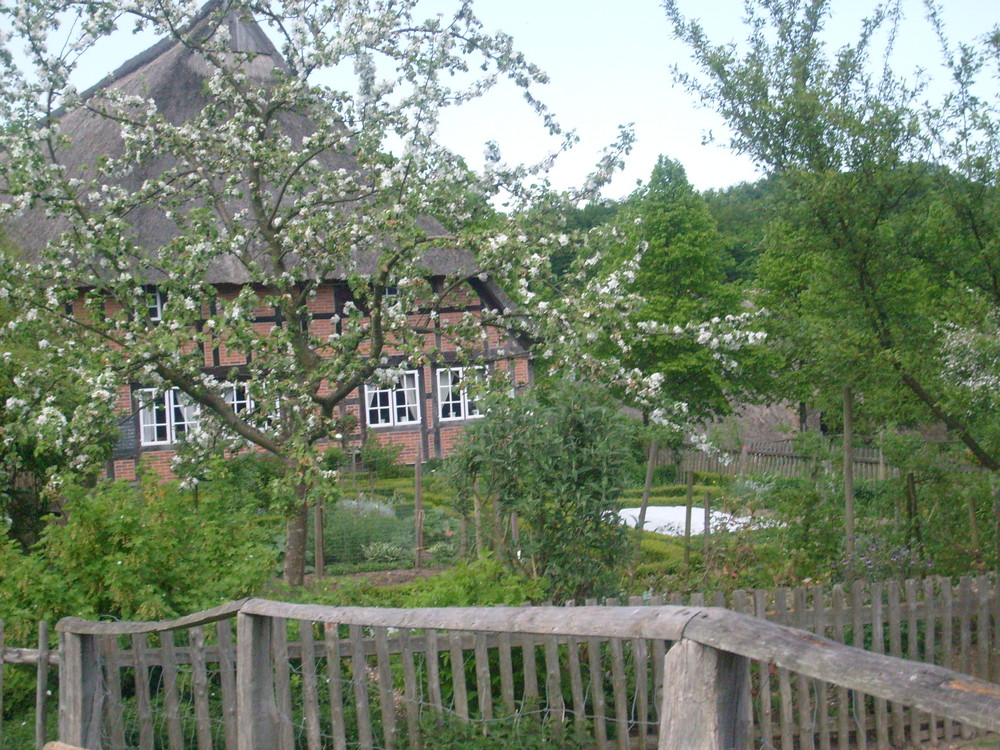 Schöner Garten