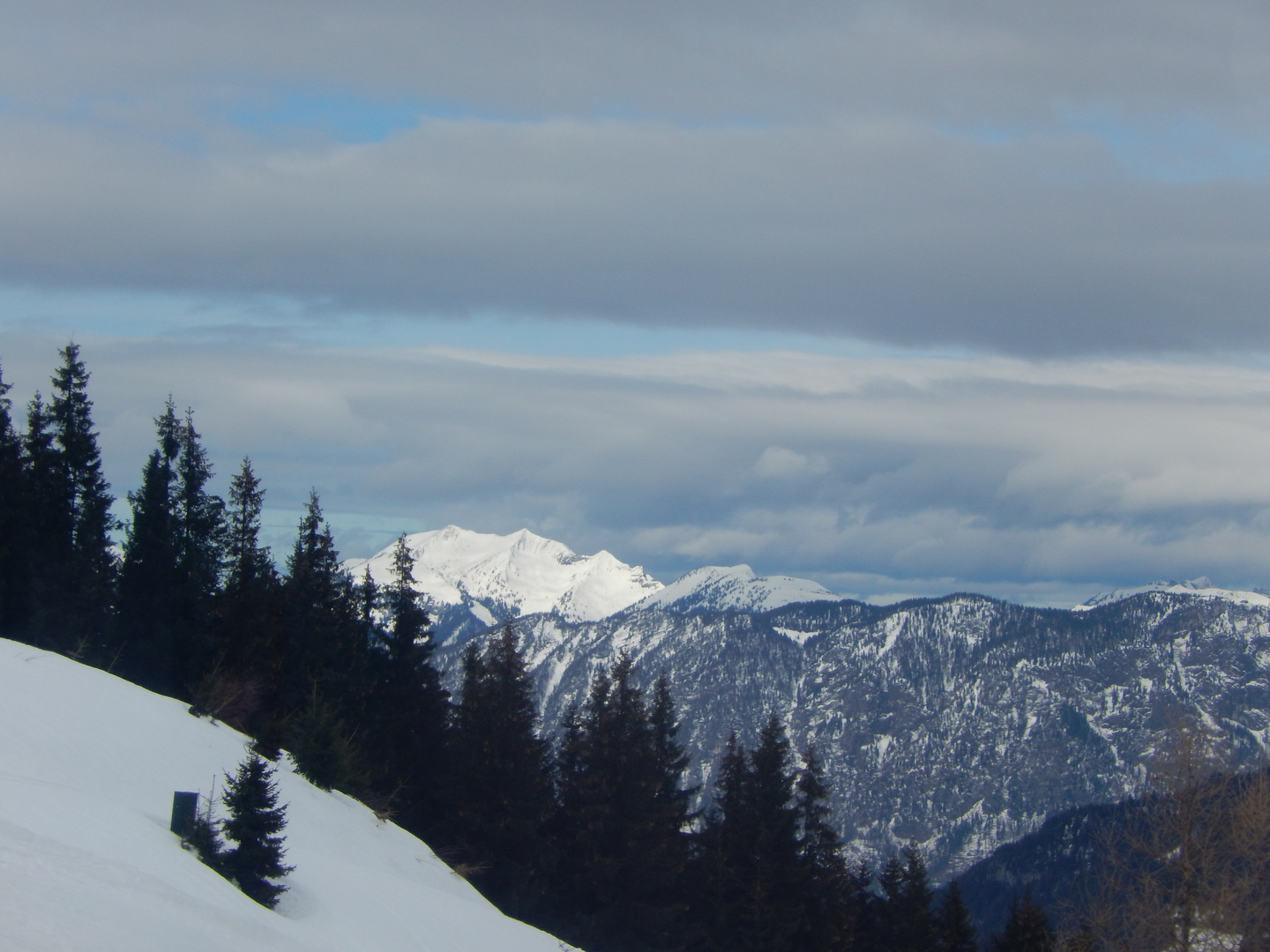 Schöner Gondelblick