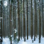 Schöner Harz