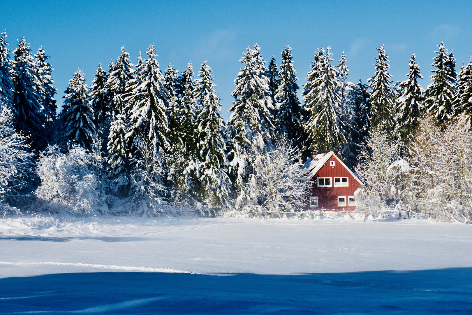 schöner Harz Winterlandschaft