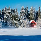 schöner Harz Winterlandschaft