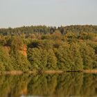 Schöner Herbst!