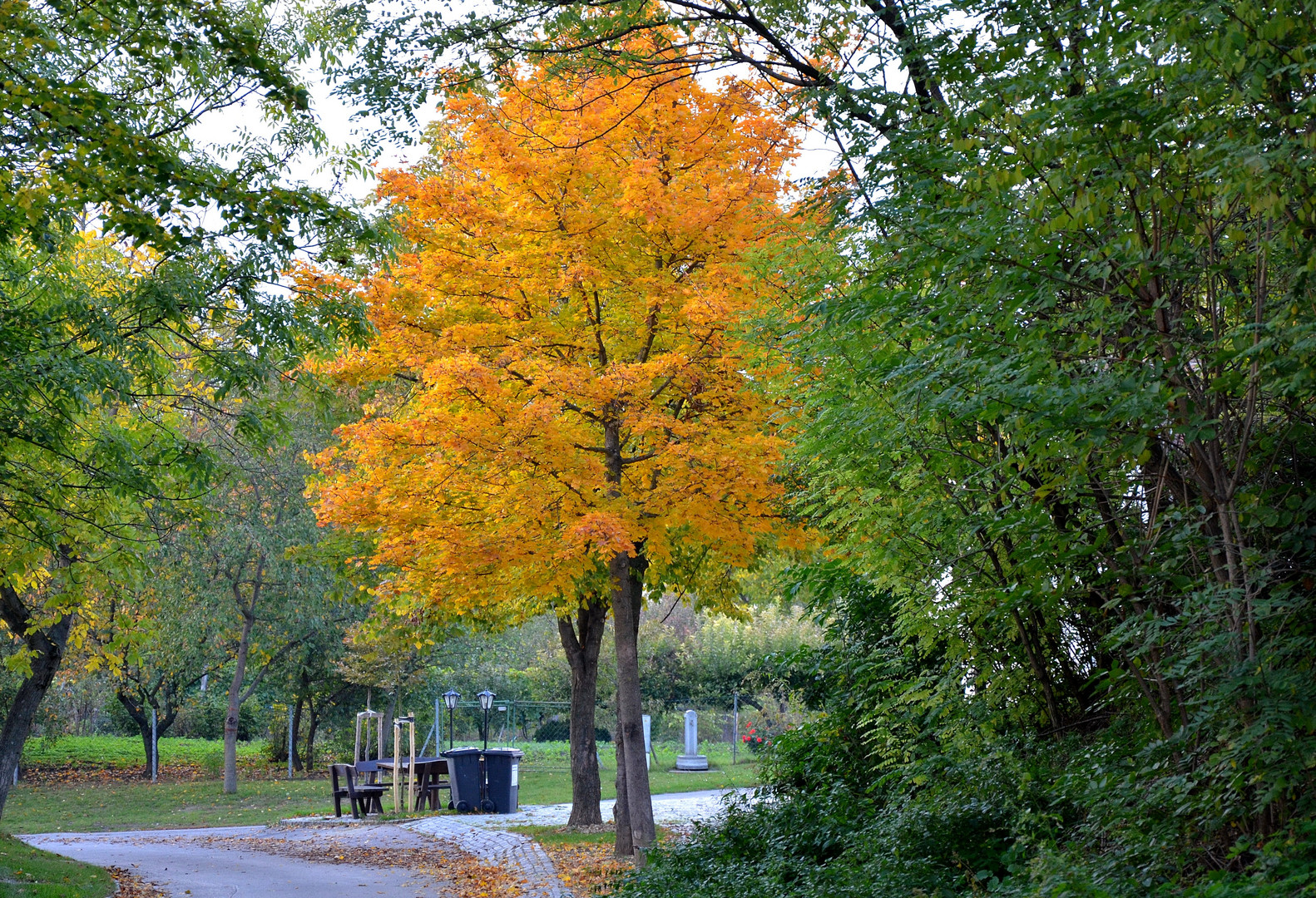 Schöner Herbst