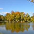 Schöner Herbst (1)