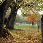 schöner Herbst