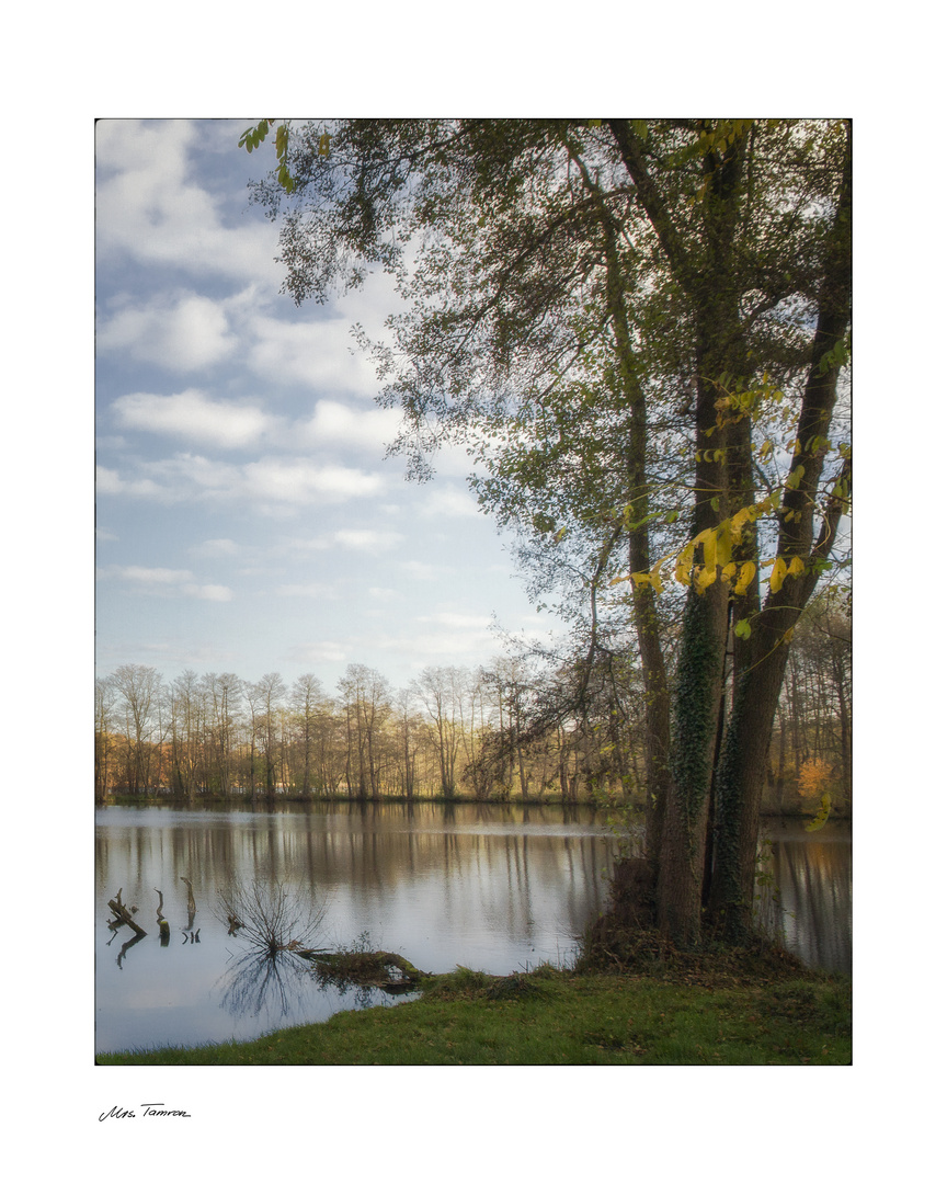 schöner Herbst ...