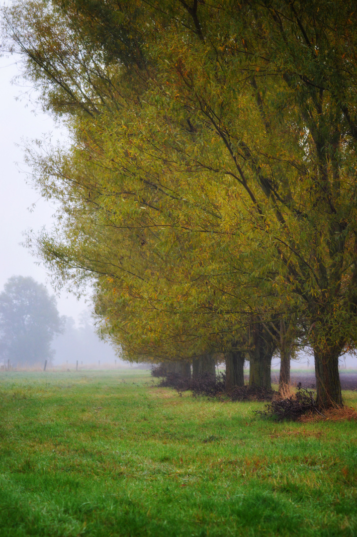 Schöner Herbst