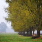 Schöner Herbst