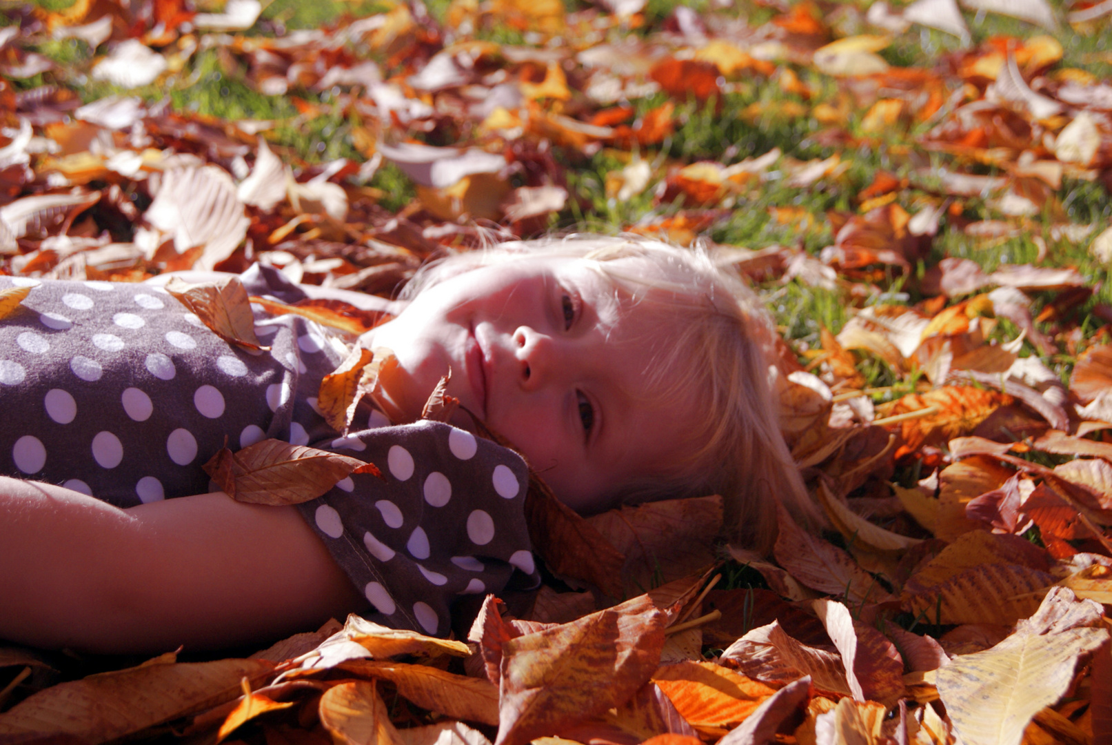 schöner Herbst