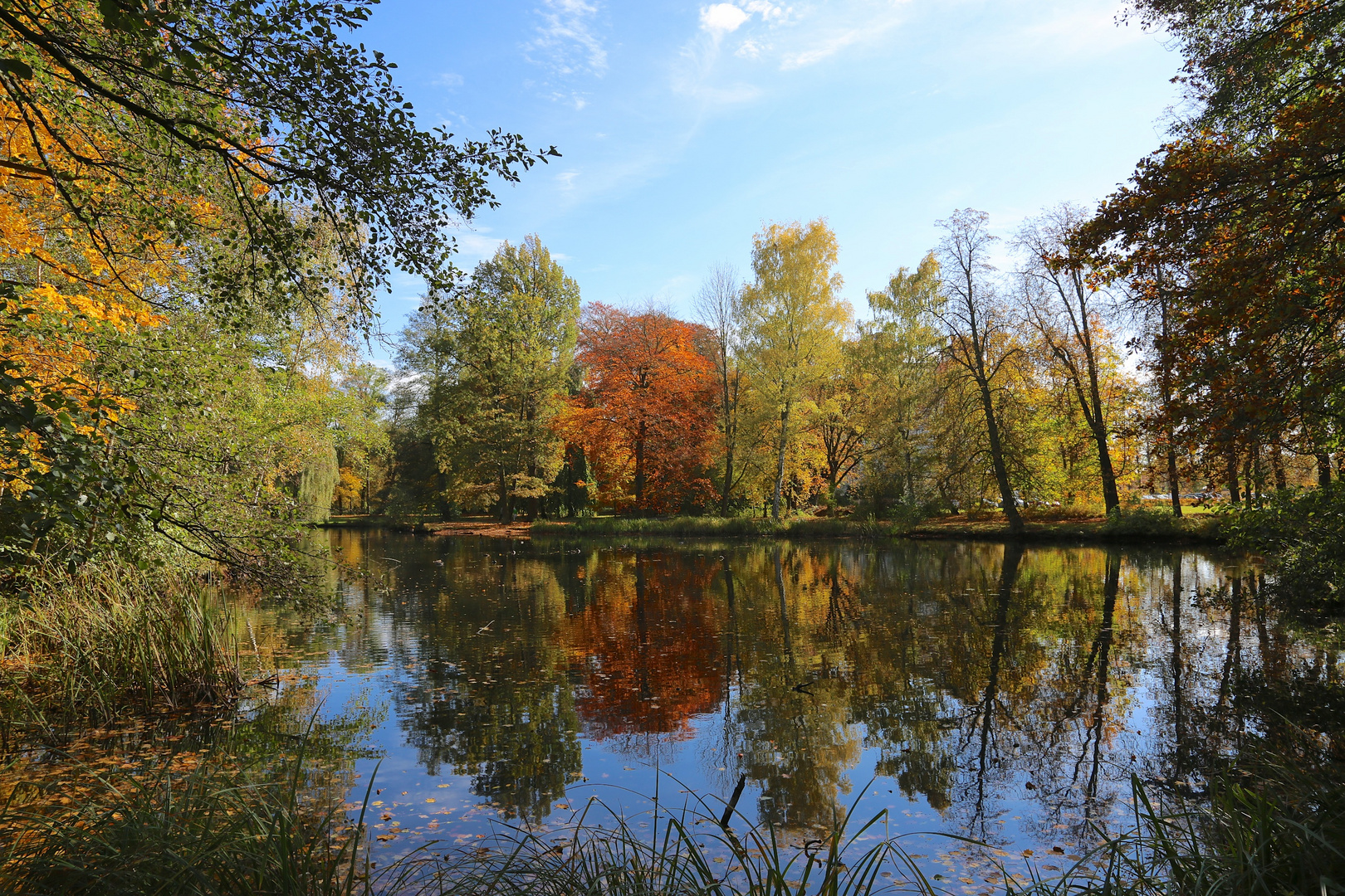 Schöner Herbst