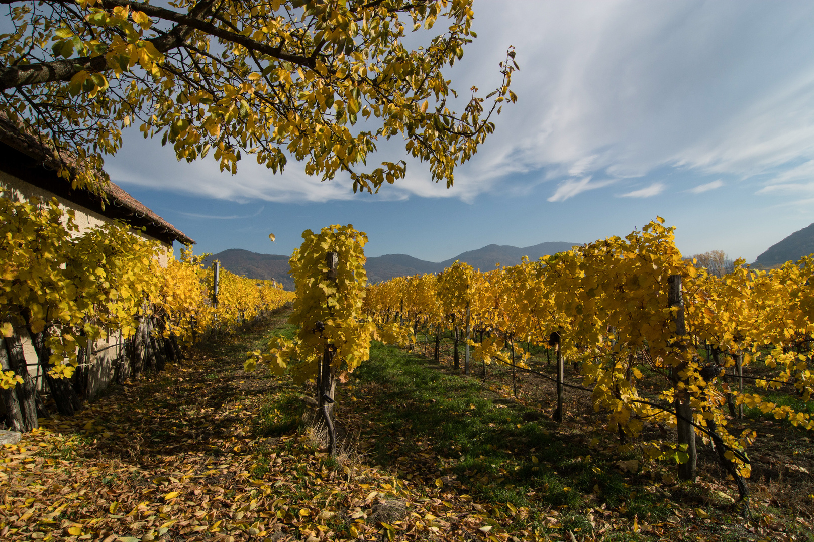 schöner Herbst