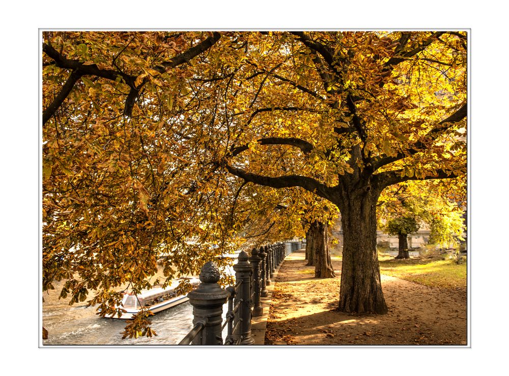 schöner Herbst