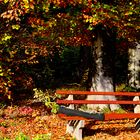 schöner Herbst.....