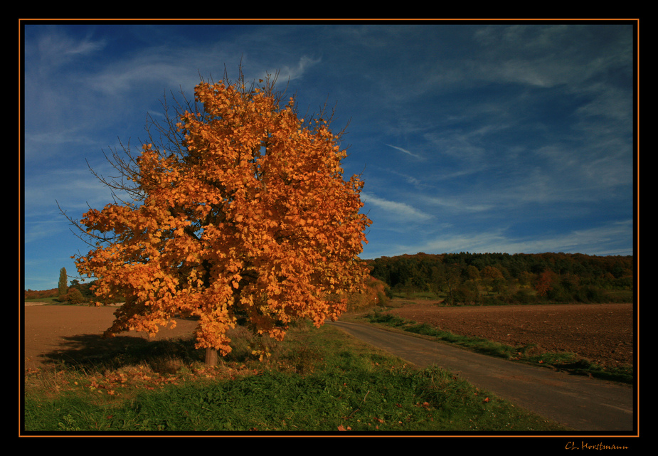 ...schöner Herbst...