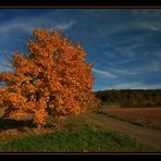 ...schöner Herbst...