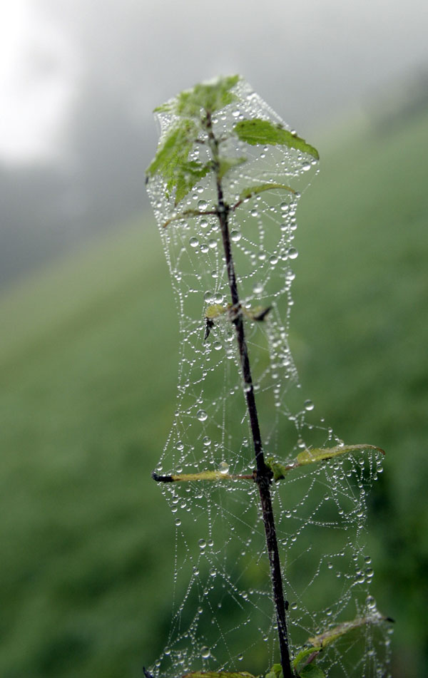 Schöner Herbst