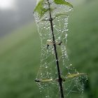 Schöner Herbst